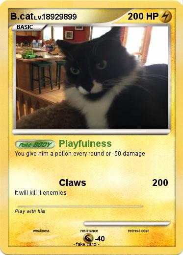 Pokemon B.cat