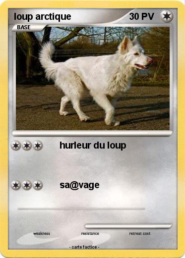 Pokemon loup arctique