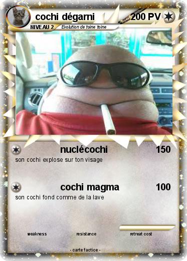 Pokemon cochi dégarni