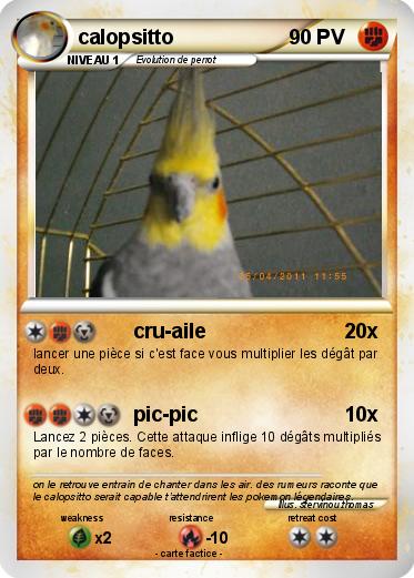 Pokemon calopsitto