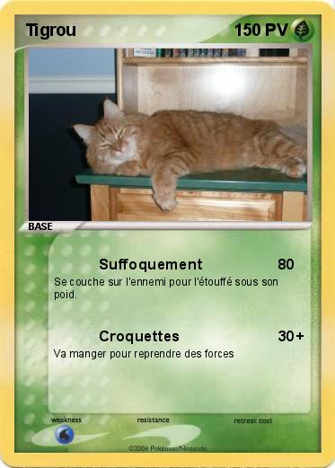 Pokemon Tigrou