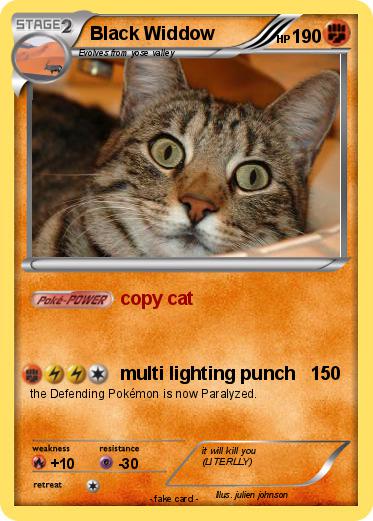 Pokemon Black Widdow