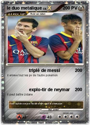 Pokemon le duo metalique