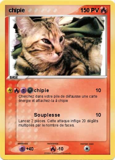 Pokemon chipie