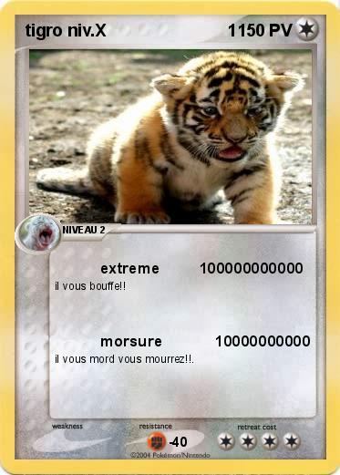 Pokemon tigro niv.X                          1