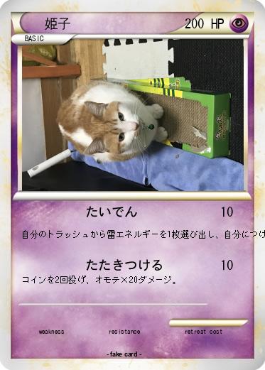 Pokemon 姫子