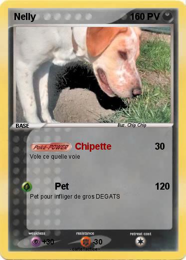 Pokemon Nelly