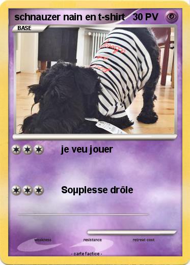 Pokemon schnauzer nain en t-shirt