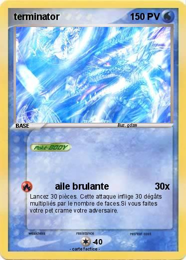 Pokemon terminator