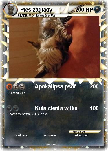Pokemon Pies zagłady