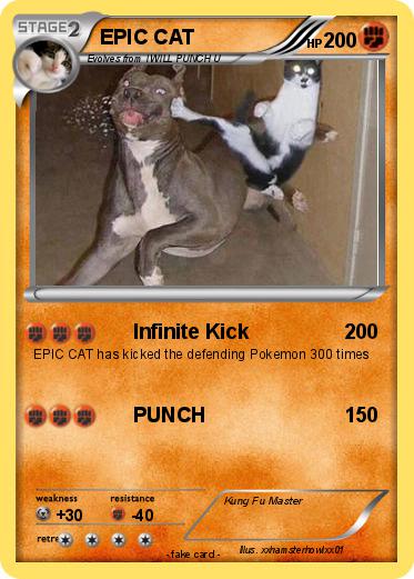 Pokemon EPIC CAT