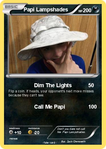 Pokemon Papi Lampshades