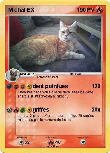 Pokemon M chat EX
