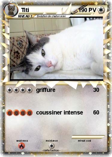Pokemon Titi