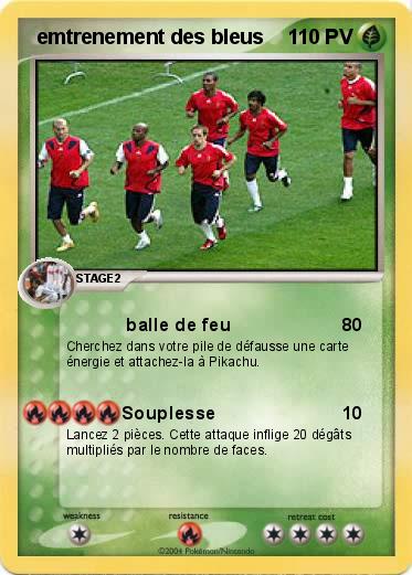 Pokemon  emtrenement des bleus