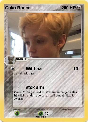 Pokemon Goku Rocco