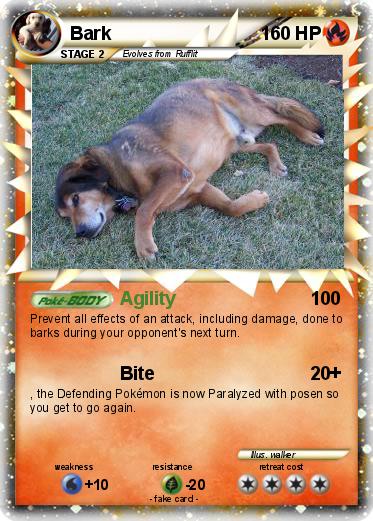 Pokemon Bark