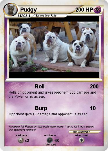 Pokemon Pudgy