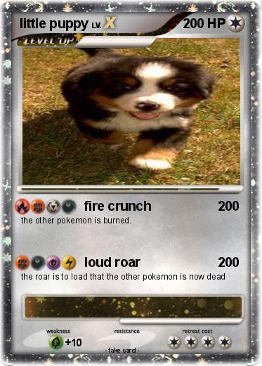 Pokemon little puppy