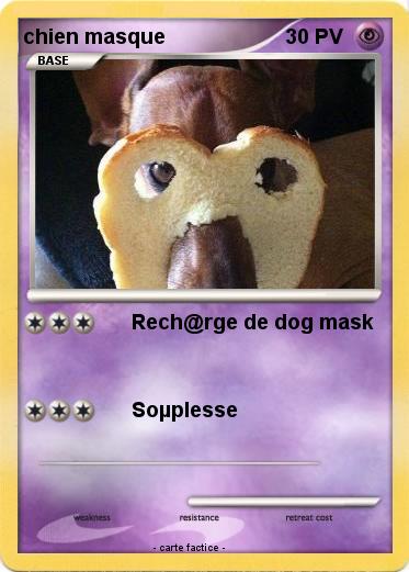 Pokemon chien masque