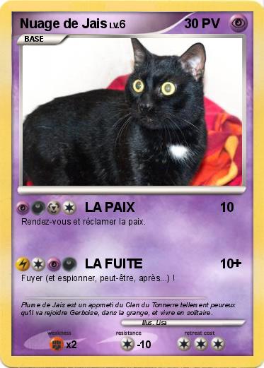 Pokemon Nuage de Jais