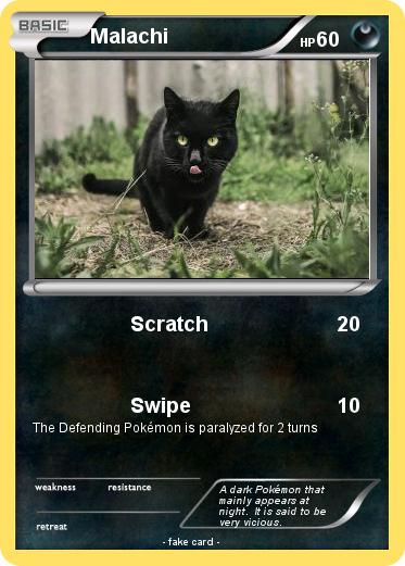 Pokemon Malachi