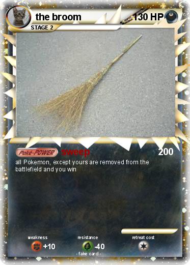 Pokemon the broom
