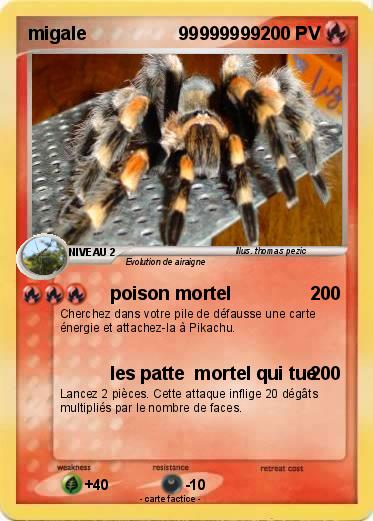 Pokemon migale                  99999999