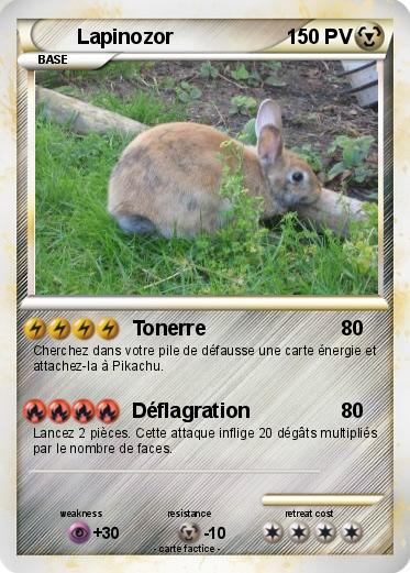 Pokemon Lapinozor