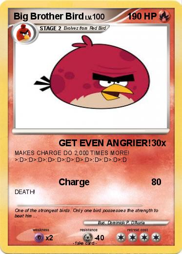 Pokemon Big Brother Bird