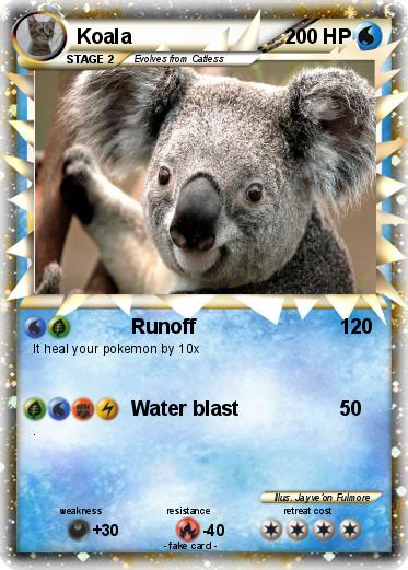 Pokemon Koala