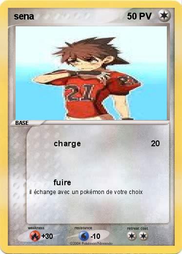 Pokemon sena