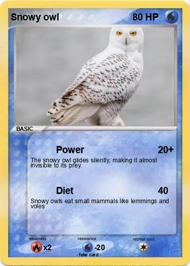 Pokemon Snowy owl
