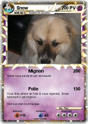 Pokemon Snow
