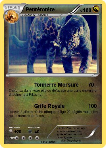 Pokemon Pentérotère