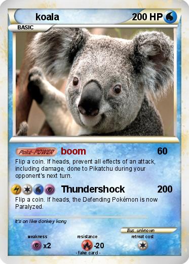 Pokemon koala