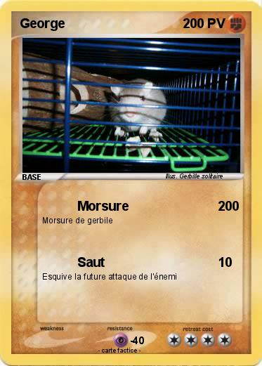 Pokemon George