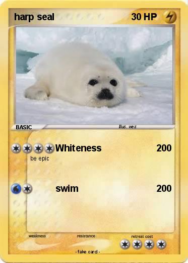 Pokemon harp seal