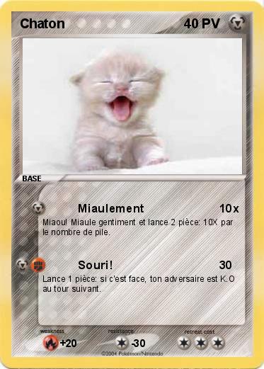 Pokemon Chaton