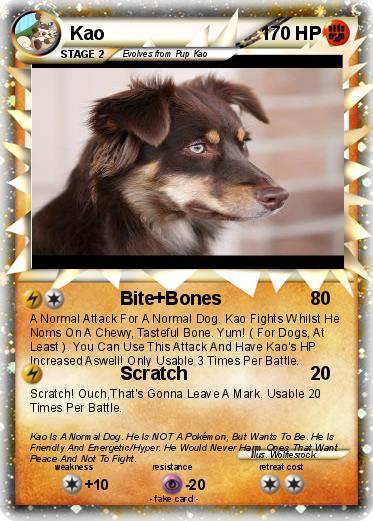 Pokemon Kao