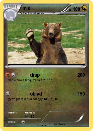 Pokemon miś