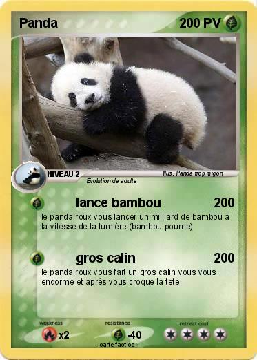 Pokemon Panda