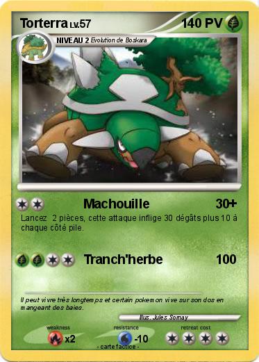Pokemon Torterra