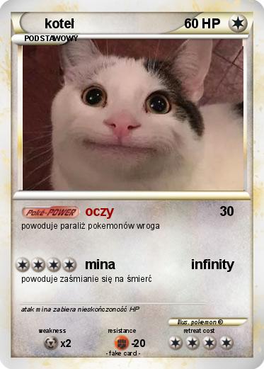 Pokemon koteł