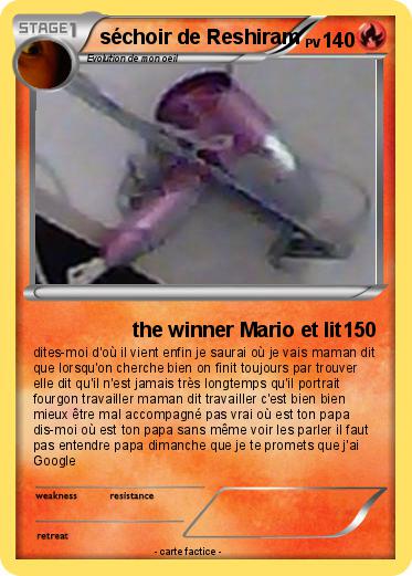 Pokemon séchoir de Reshiram