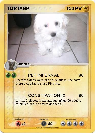Pokemon TORTANK