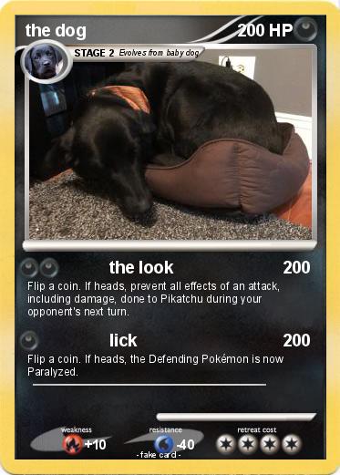 Pokemon the dog
