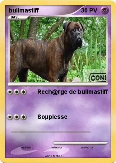 Pokemon bullmastiff