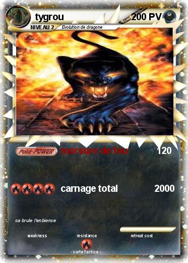 Pokemon tygrou