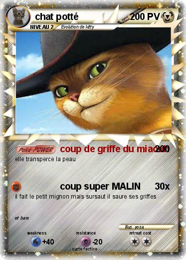 Pokemon chat potté